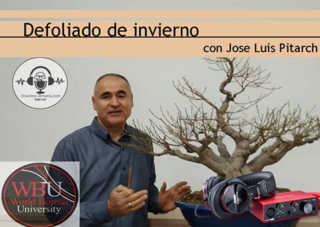 Episodio 12 - Defoliado de invierno con Jose Luis Pitarch