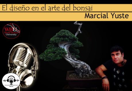 Episodio #15 - El diseño en el arte del Bonsai - Con Marcial Yuste