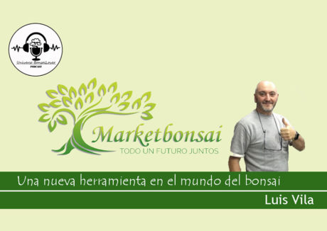 Episodio #23 - Market Bonsai - Una nueva herramienta en el mundo del bonsai - Con Luis Vila