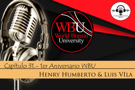 Episodio #31 - 1° Aniversario WBU - Con Henry Chávez y Luis Vila