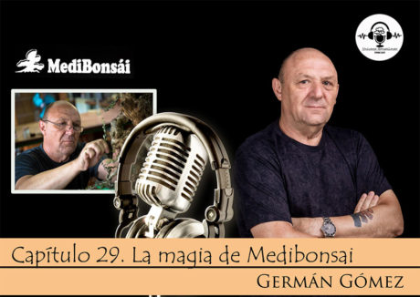 Episodio #29 - La Magia de Medibonsai - Con Germán Gómez
