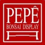Foto del perfil de Paulo Perez Junior Pepê Bonsai Display